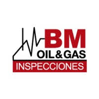 BM Inspecciones SRL